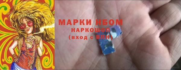 прущие грибы Бородино