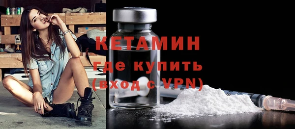 прущие грибы Бородино