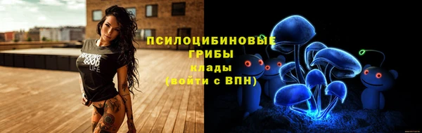mdpv Бугульма