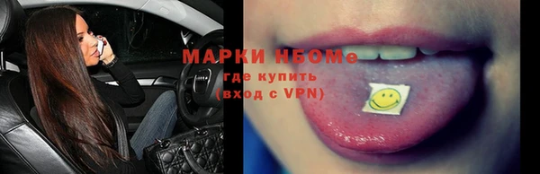 прущие грибы Бородино