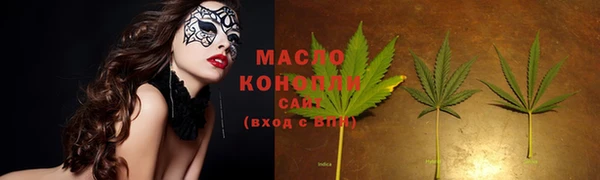 прущие грибы Бородино