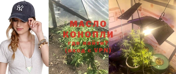 прущие грибы Бородино
