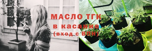 прущие грибы Бородино
