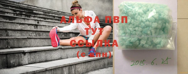 прущие грибы Бородино