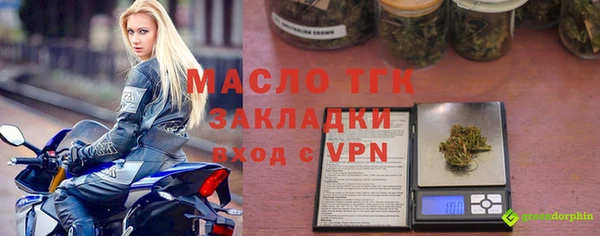 прущие грибы Бородино