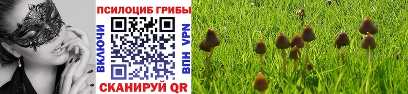 Псилоцибиновые грибы Psilocybe  kraken как зайти  Ейск  закладки 